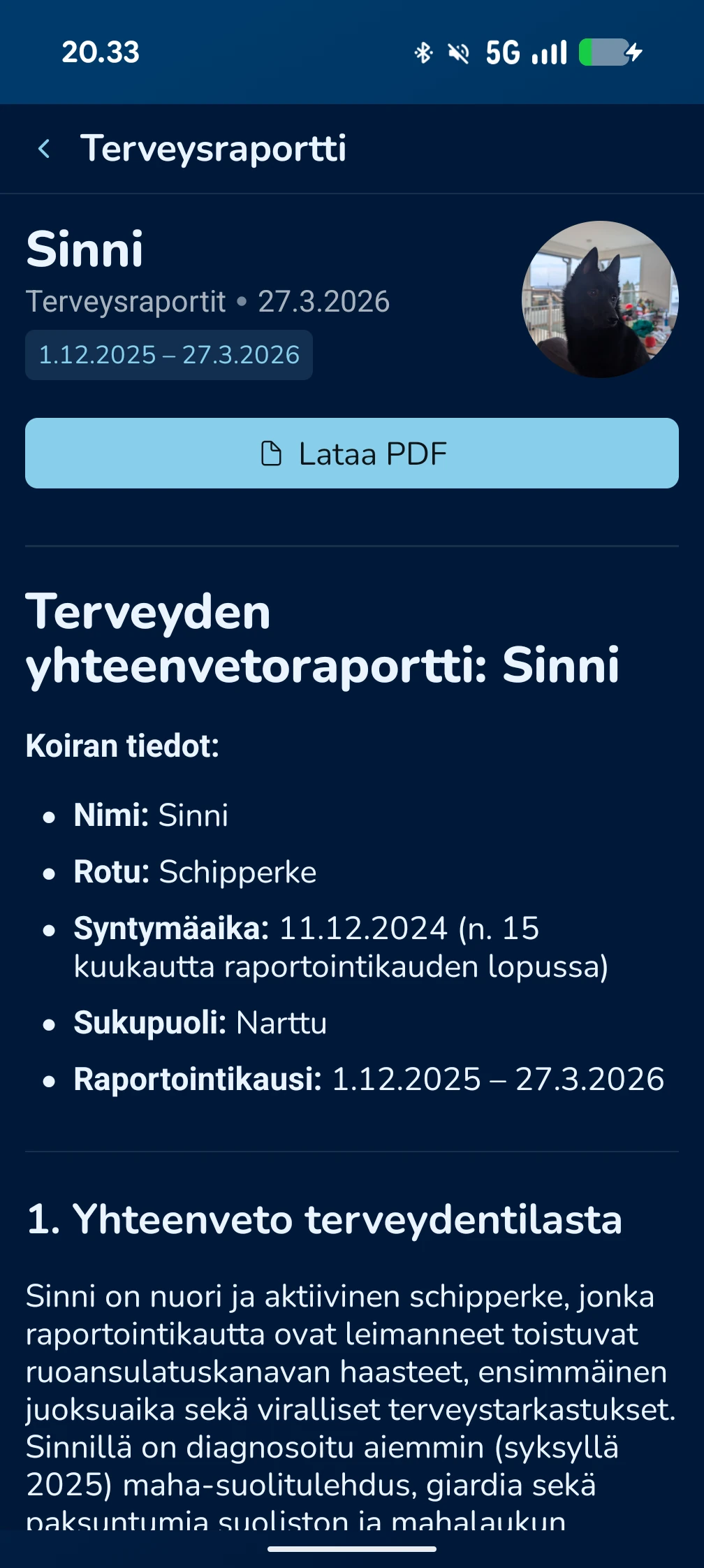 KoiraKaveri terveysraportti – kattava yhteenveto koirasi terveydestä