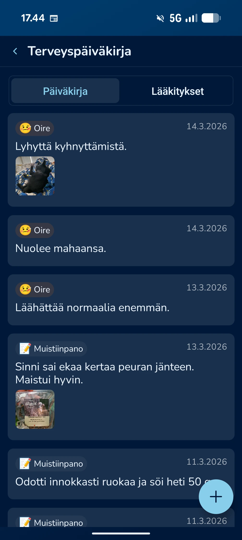 KoiraKaveri terveyspäiväkirja – merkinnät ja aikajana