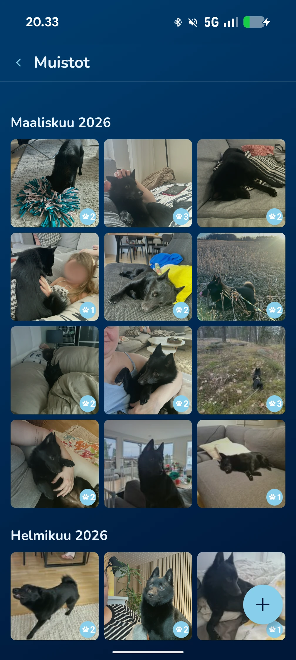 KoiraKaveri muistot – perhealbumi ja jaetut hetket