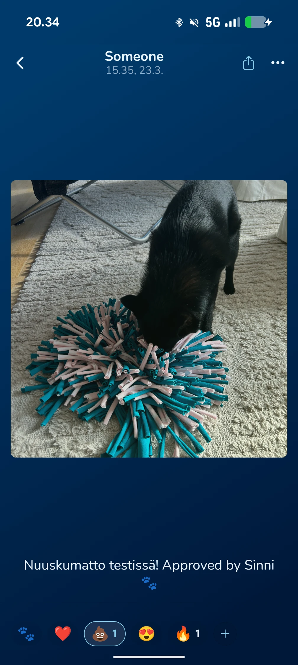 KoiraKaveri muistot – kuvien selaus ja reaktiot