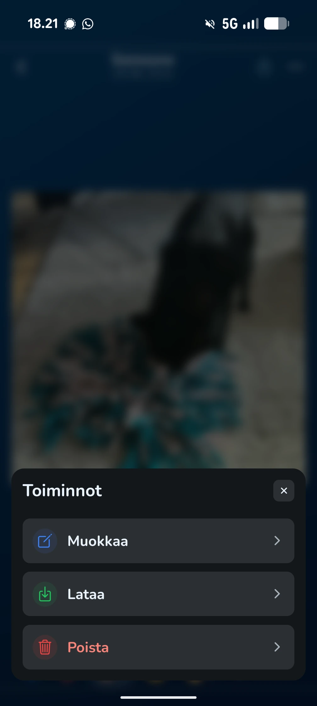 KoiraKaveri muistot – muiston tiedot ja jakaminen