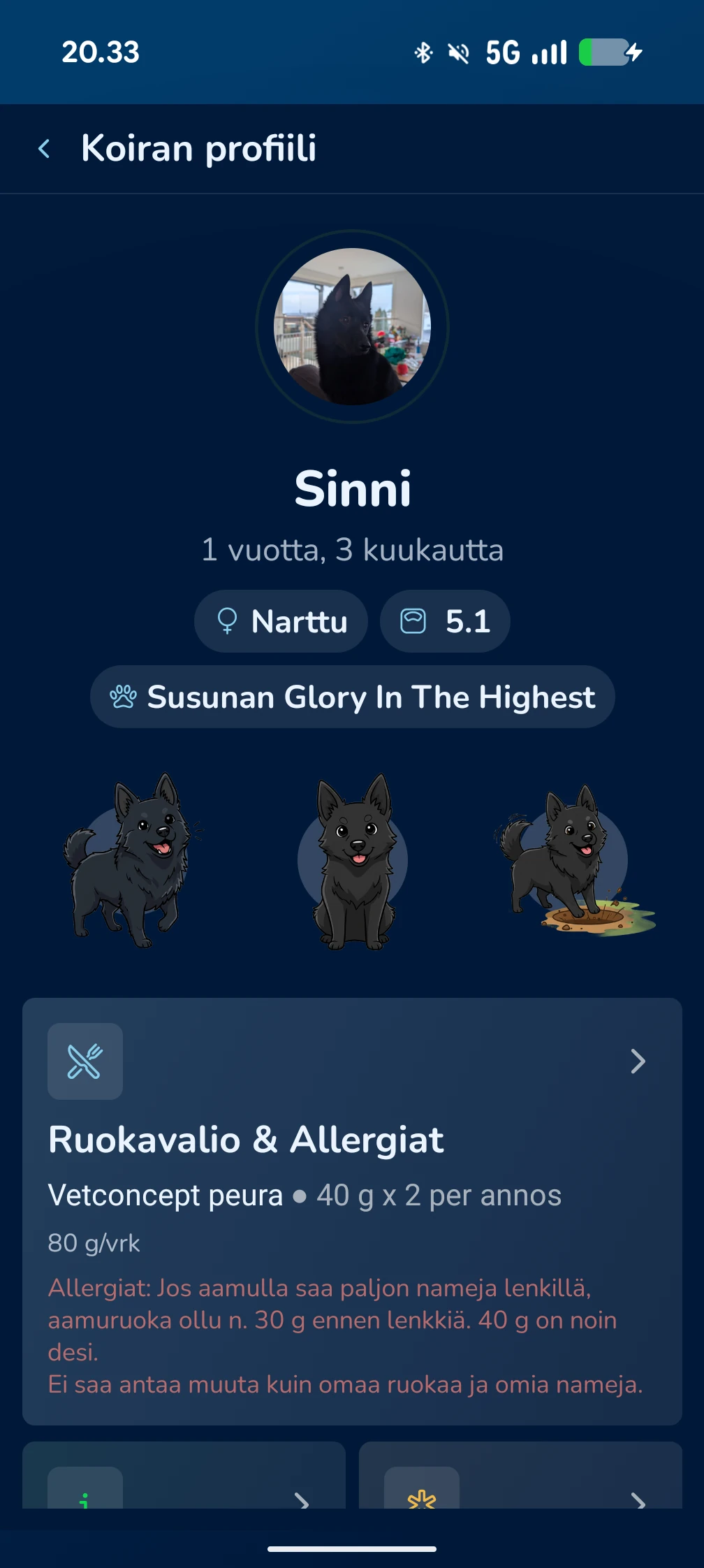 KoiraKaveri koiran profiili – perustiedot ja terveyden seuranta