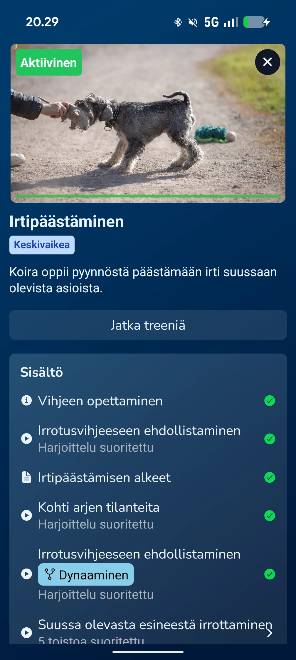 KoiraKaveri koulutus – oppitunnit ja harjoitukset