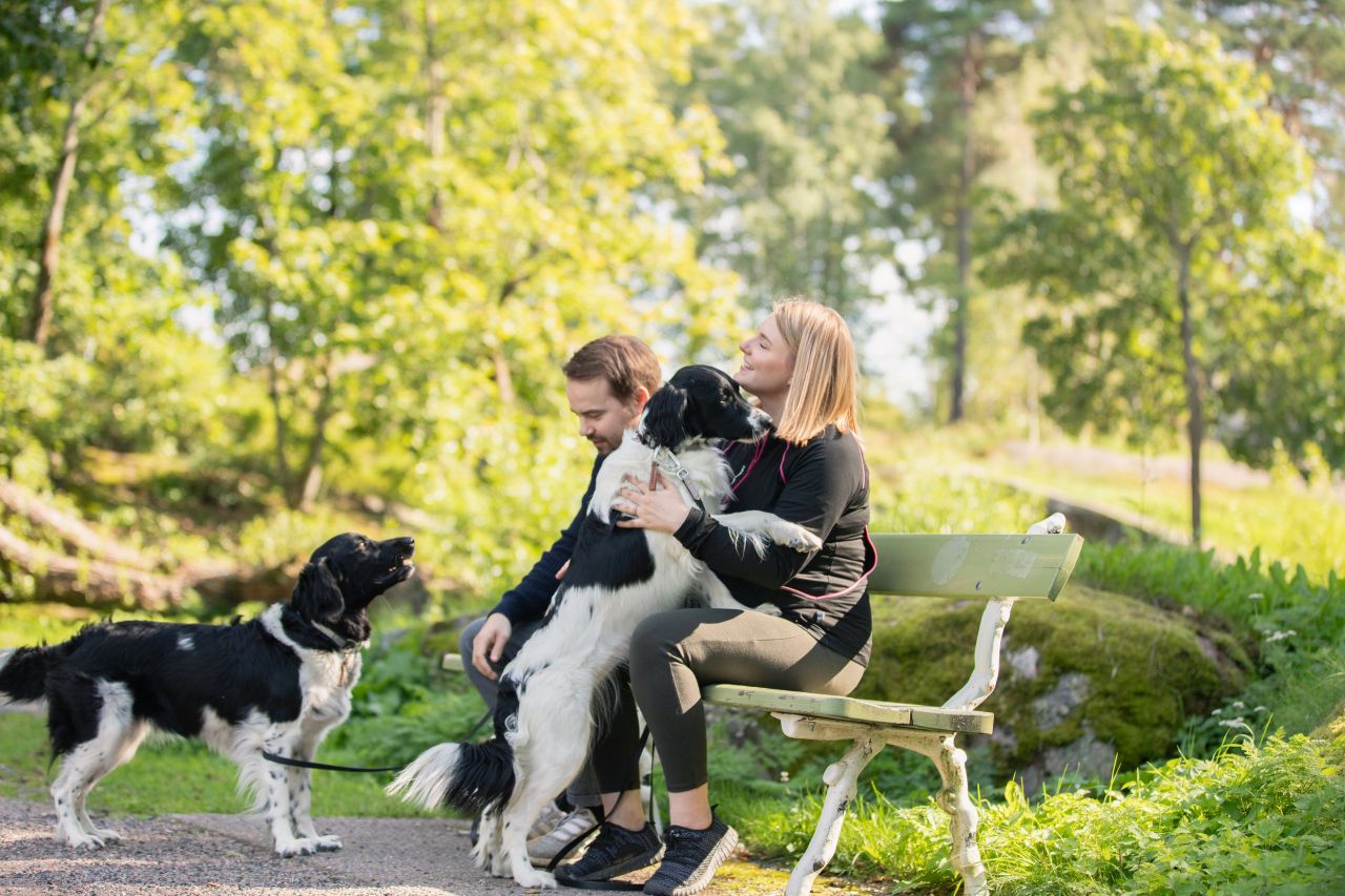 Perhe hoitaa koiraa yhdessä