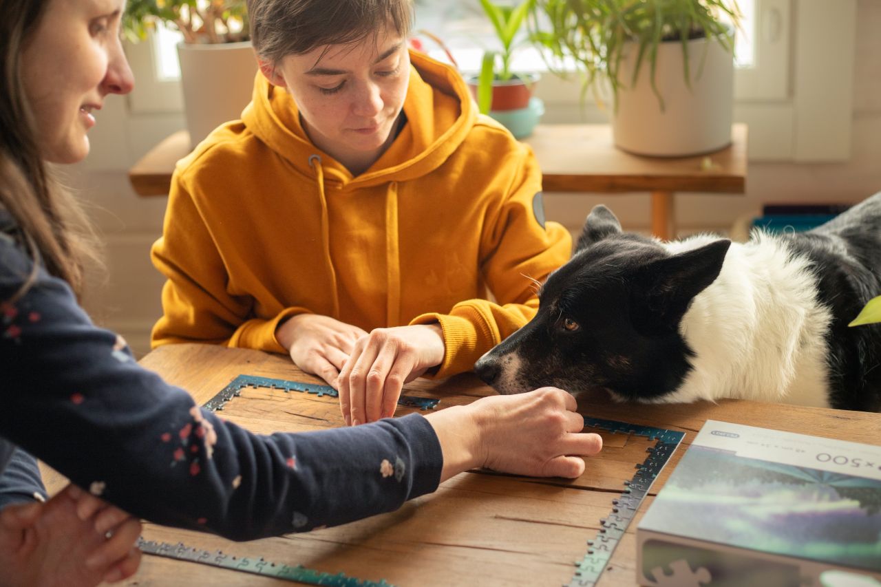 Koiranomistaja oppii yhdessä koiransa kanssa