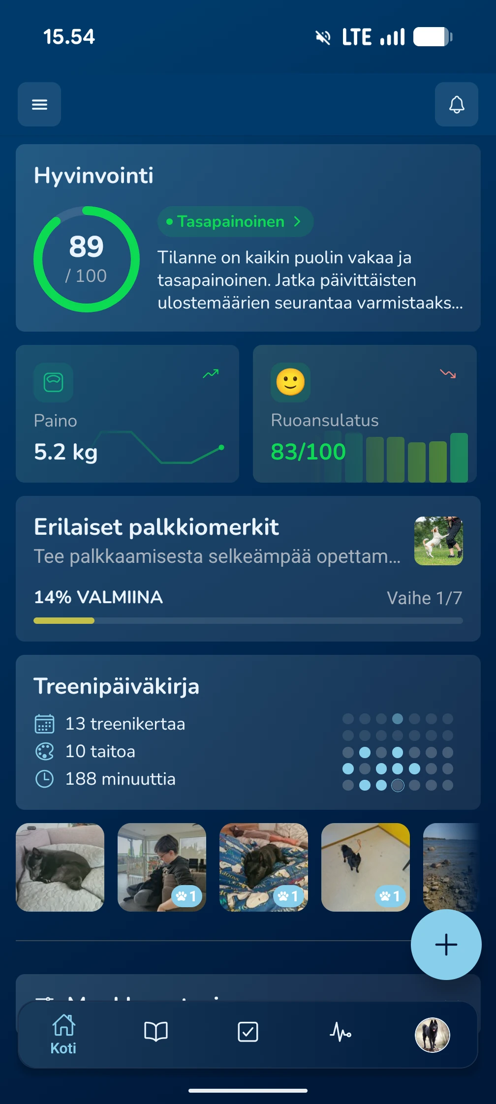 KoiraKaveri dog app dashboard on a phone